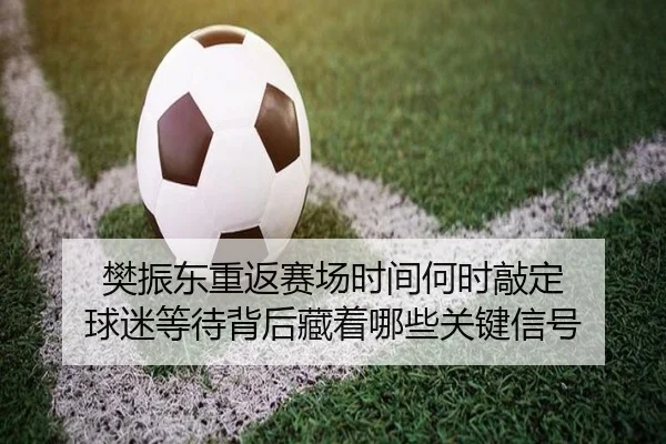樊振东重返赛场时间何时敲定 球迷等待背后藏着哪些关键信号
