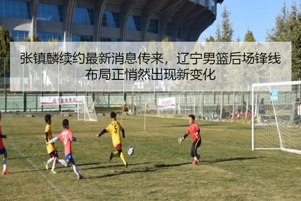张镇麟续约最新消息传来，辽宁男篮后场锋线布局正悄然出现新变化